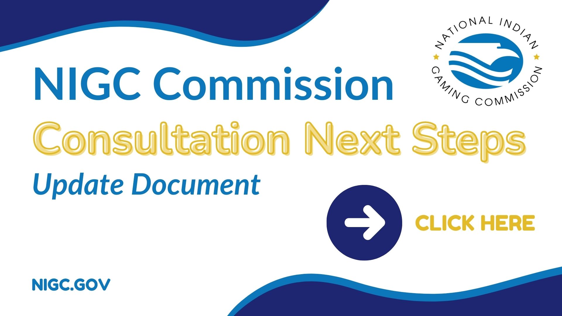 Commission Consultation Next Steps